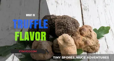 Unveiling the Earthy Elegance: What is Truffle Flavor?