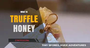Discover the Luxurious World of Truffle Honey: A Gourmet Delight