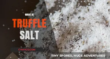 Unveiling the Culinary Magic: What is Truffle Salt?