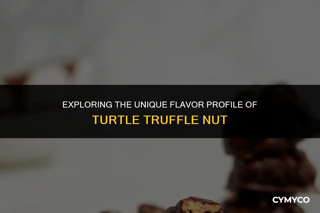 what is turtle truffle nut