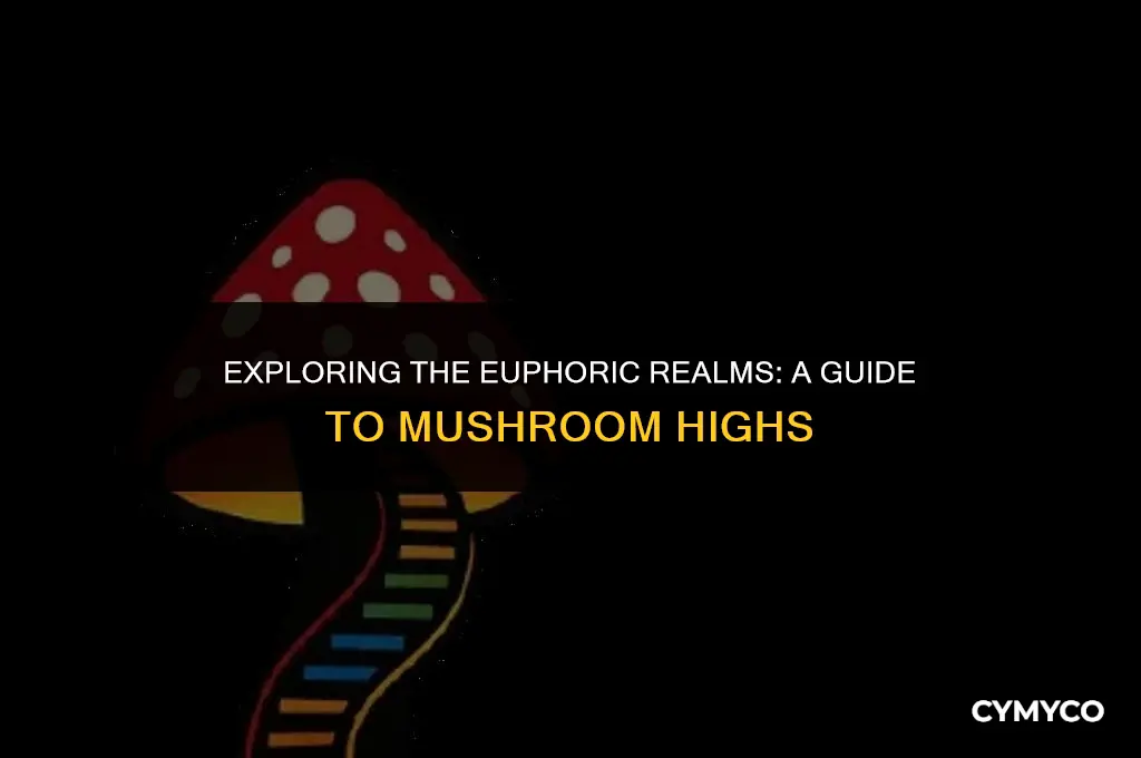 what kind of a high do you get from mushroom
