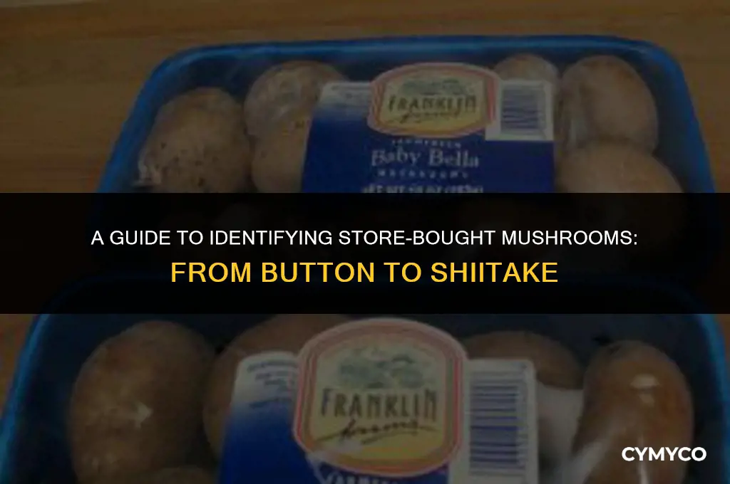 what kind of mushrooms am i getting at the store