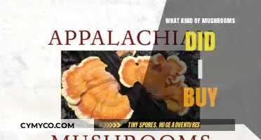 Identifying Your Mushroom Purchase: A Guide to Edible Varieties