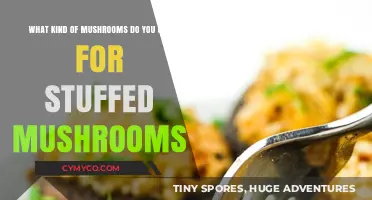 Delicious Stuffed Mushroom Varieties: A Culinary Guide