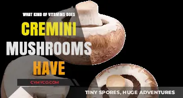 Unlocking the Nutritional Power of Cremini Mushrooms: A Vitamin Guide