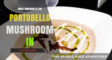 Exploring the Kingdom of the Portobello Mushroom: A Culinary Journey