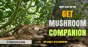 Unlocking the Mushroom Companion: A Guide to Leveling Up