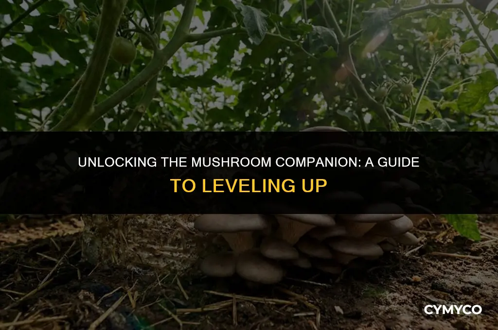 what level do you get mushroom companion