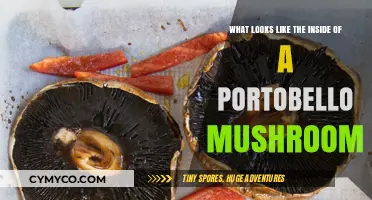 Exploring the Earthy Depths: Inside a Portobello Mushroom