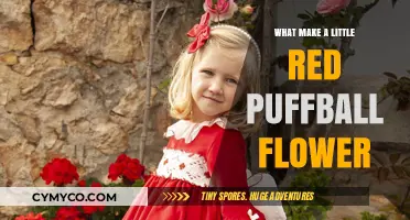 Nature's Delight: Unveiling the Secrets of the Little Red Puffball Flower