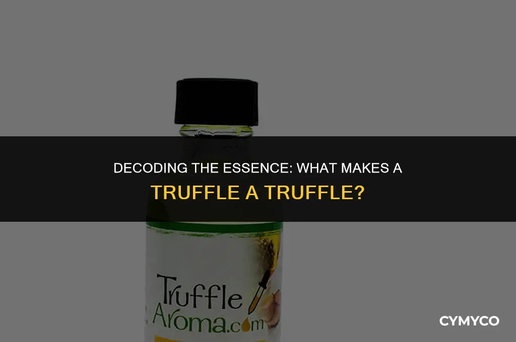 what makes a truffle a truffle