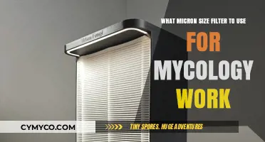 Optimal Micron Filter Selection for Mycology Research and Cultivation