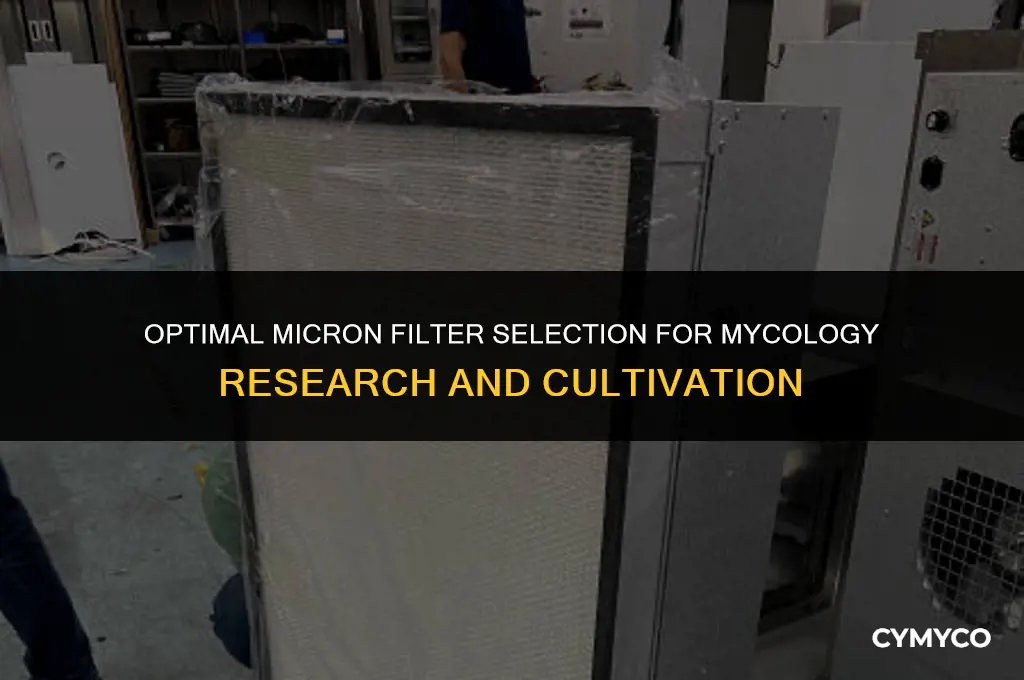 what micron size filter to use for mycology work