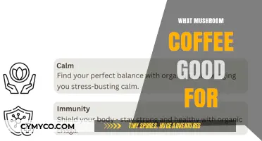 Exploring the Health Benefits of Mushroom Coffee: A Comprehensive Guide