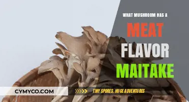 Umami Delight: Exploring the Meat-Flavored Maitake Mushroom