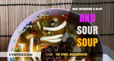 Exploring the Flavor: Which Mushroom Stars in Hot and Sour Soup?