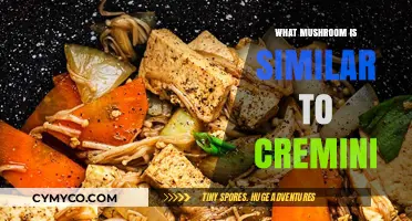 Exploring Cremini's Cousin: The Enoki Mushroom