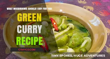 Essential Mushrooms for Authentic Thai Green Curry: A Guide