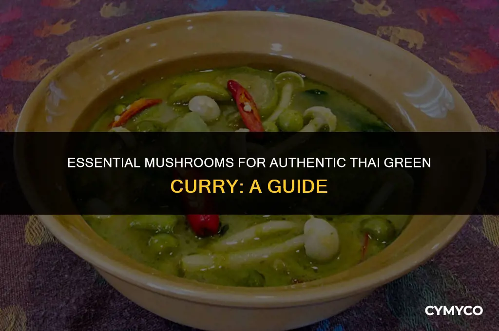 what mushrooms should i buy for thai green curry recipe