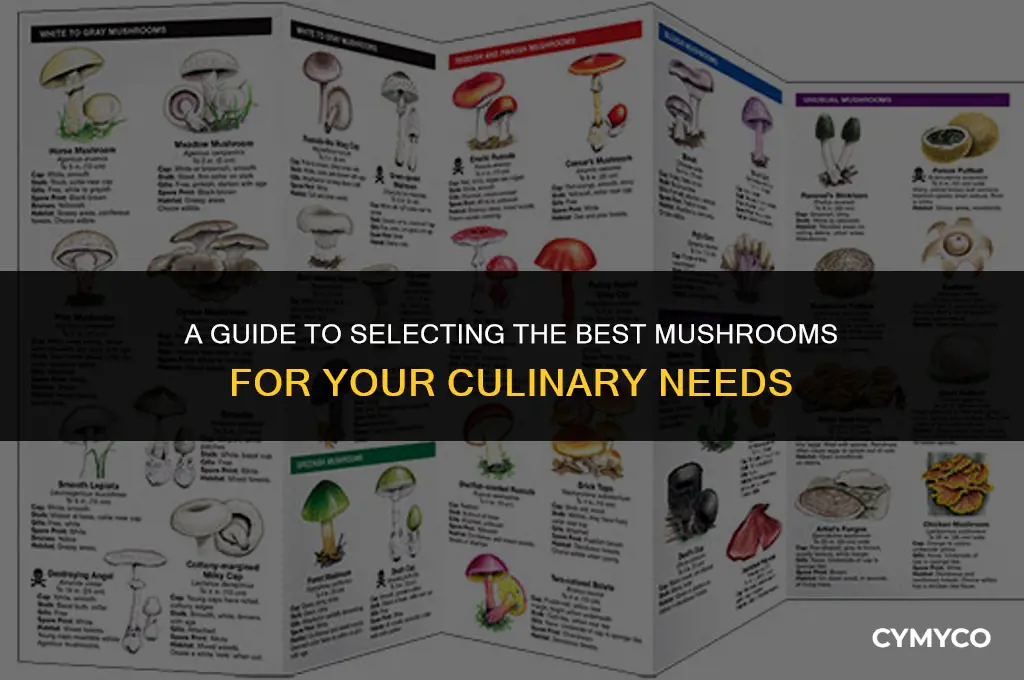what mushrooms should i buy