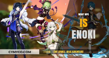 Unveiling Enoki: The Intriguing NPC in Genshin Impact