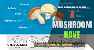 Unlocking the Nutritional Secrets of Mushrooms: A Comprehensive Guide