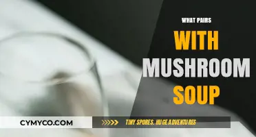 Savor the Flavor: Perfect Pairings for Creamy Mushroom Soup