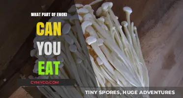 Exploring Edible Delights: A Guide to Enjoying Enoki Mushrooms