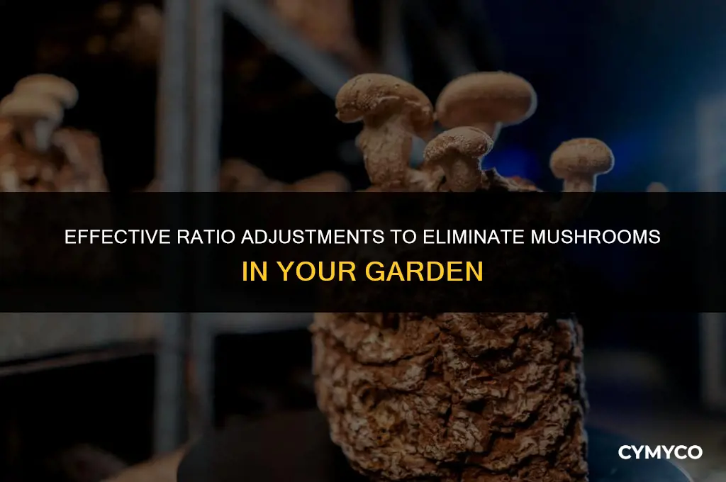 what part of ratio to get rid of mushroom