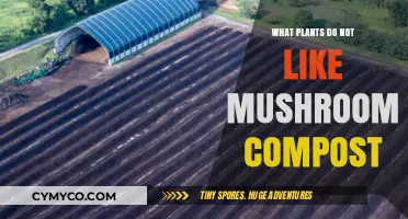 Plants That Dislike Mushroom Compost: A Guide to Compatibility