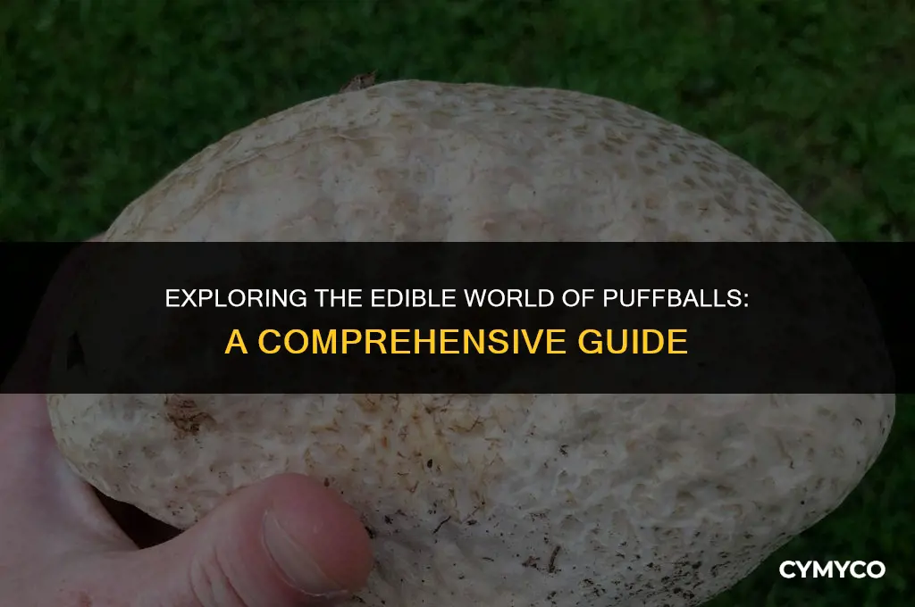 what puffballs are edible