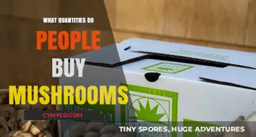 Exploring Popular Mushroom Purchase Quantities: A Comprehensive Guide