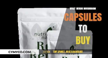 Exploring the Best Reishi Mushroom Capsules: A Comprehensive Guide