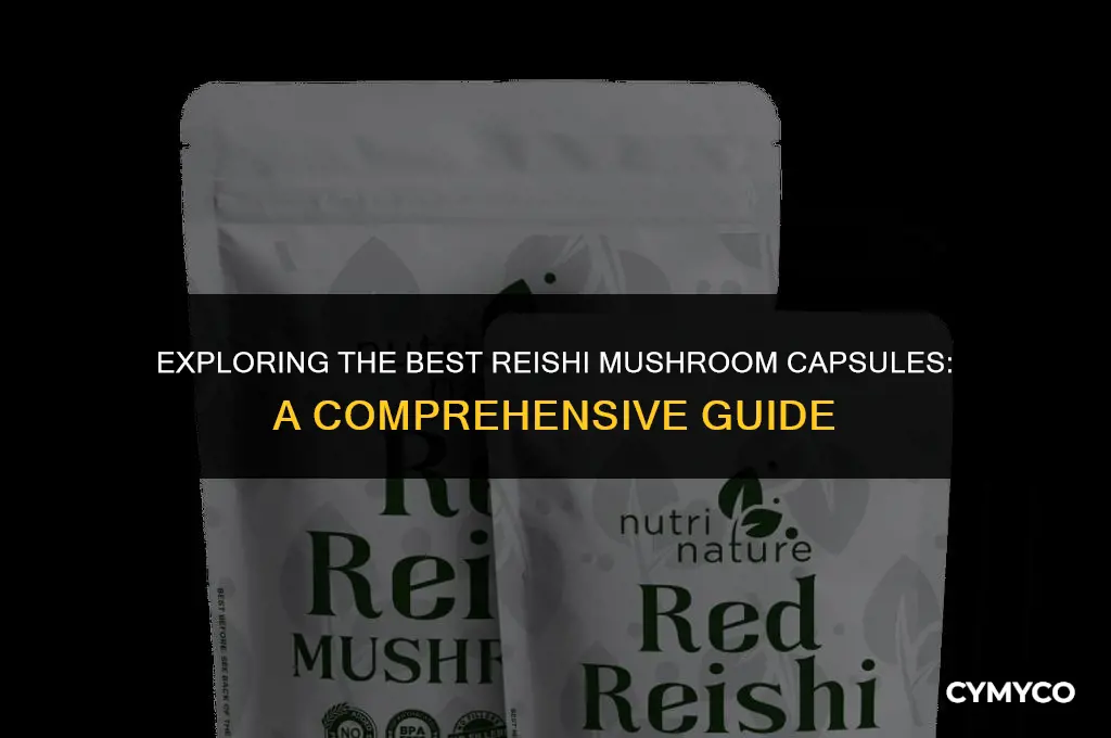 what reishi mushroom capsules to buy