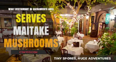 Savoring Maitake: Top Sacramento Restaurants Serving These Delicate Mushrooms