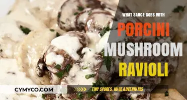 Elevate Your Porcini Mushroom Ravioli with These Sauce Pairings
