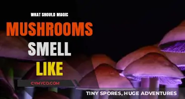 Unveiling the Aromatic Mystery: What Should Magic Mushrooms Smell Like?