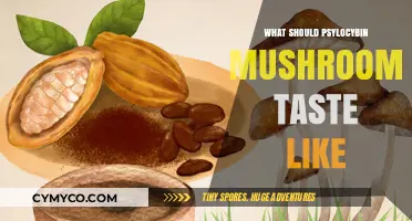 Exploring the Earthy, Bitter, and Unique Flavor Profile of Psilocybin Mushrooms