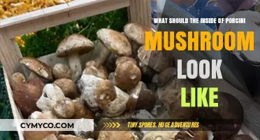 Inside Porcini Mushrooms: What to Expect When You Slice Them Open