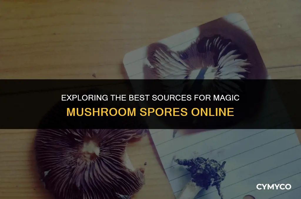 what sites should be used to get magic mushroom spore