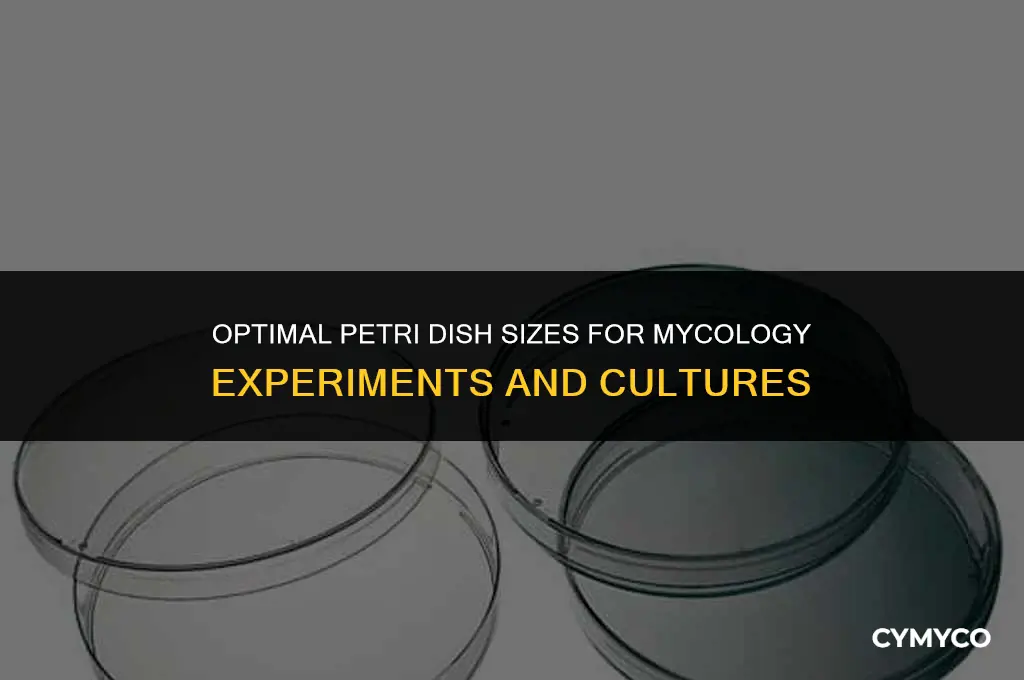 what size petri dish for mycology