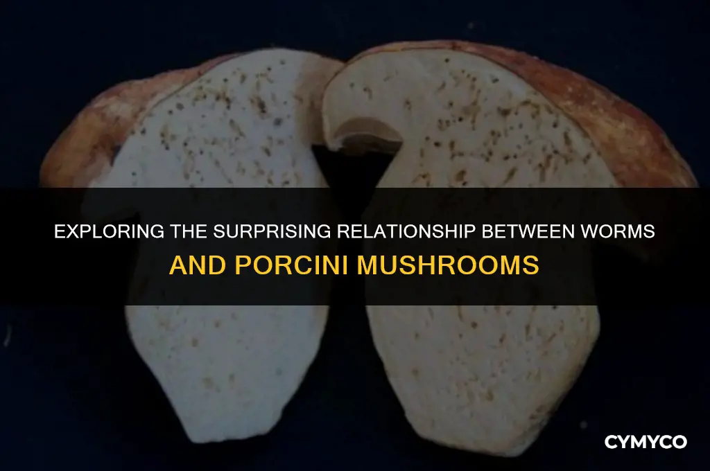 what species of worms eat porcinis