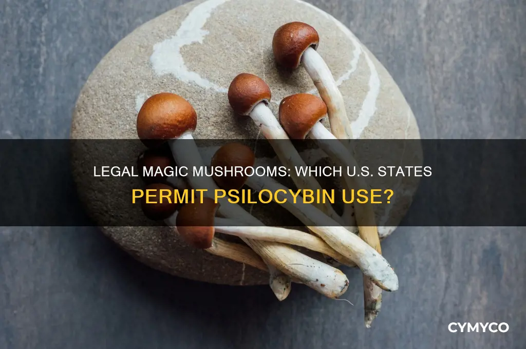 what state are magic mushrooms legal in
