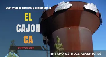 Where to Find Button Mushrooms in El Cajon, CA: A Shopper's Guide