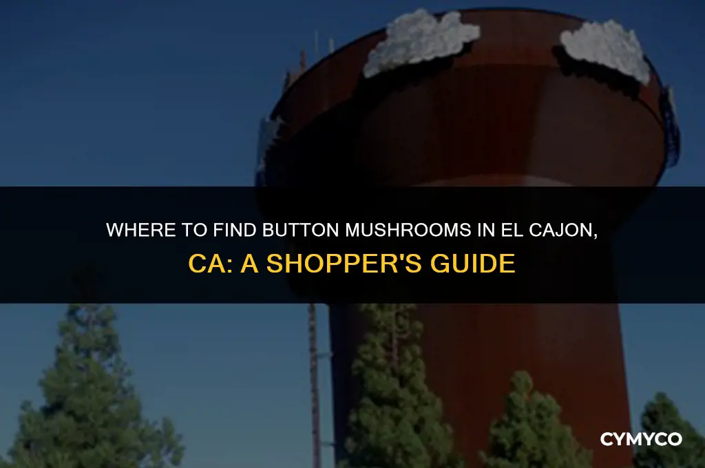 what store to buy button mushrooms in el cajon ca