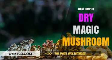 Optimal Drying Temperature for Magic Mushrooms: A Comprehensive Guide
