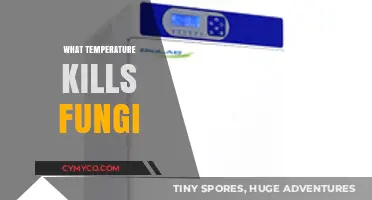 Fungal Foe: The Lethal Temperature Threshold for Elimination