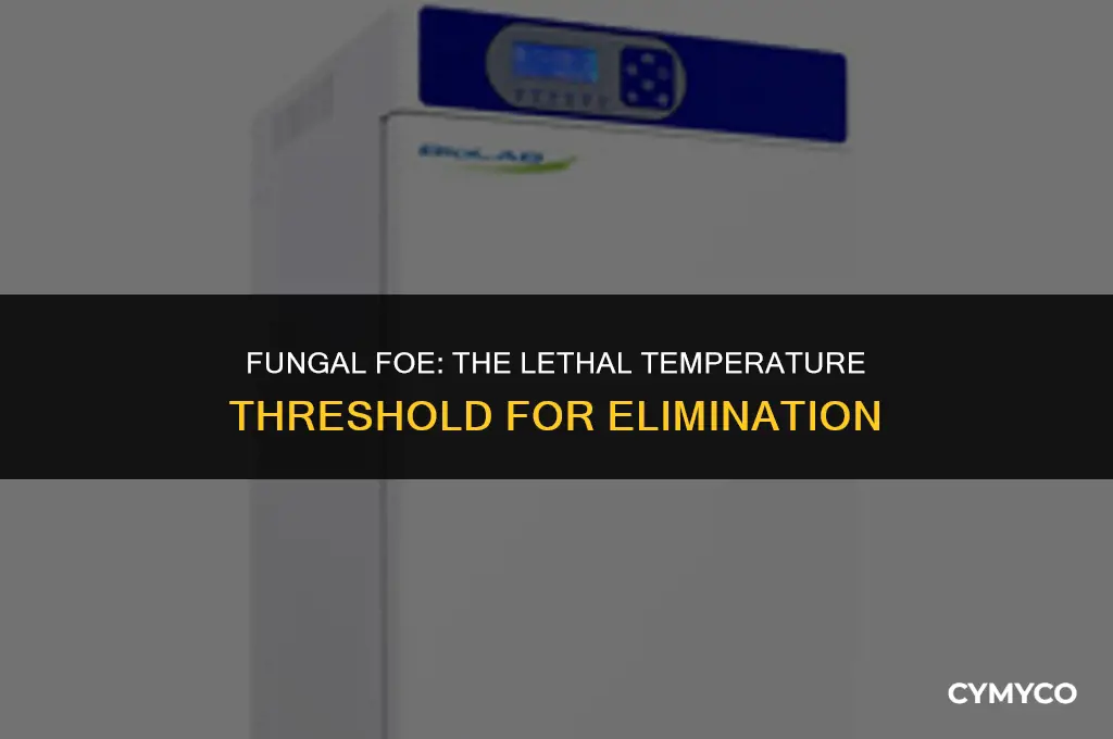 what temperature kills fungi