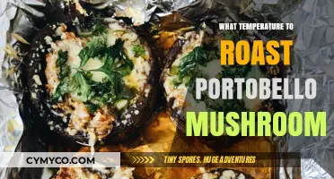 Perfectly Roasted Portobello Mushrooms: A Delicious Guide