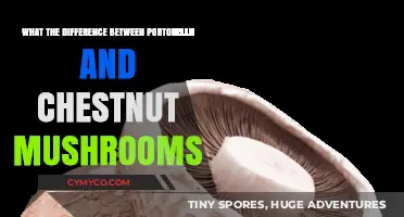 Exploring the Unique Flavors: Portobello vs. Chestnut Mushrooms